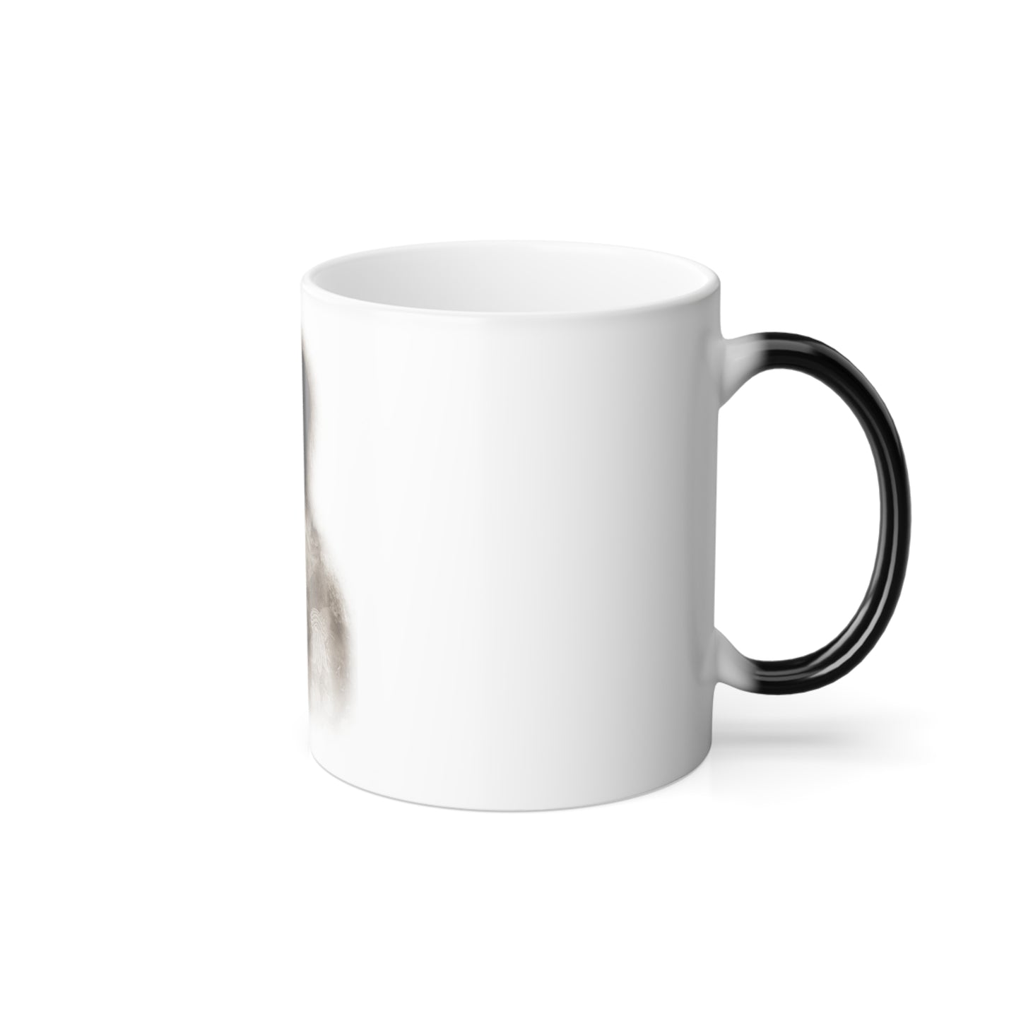 Color Morphing Mug, 11oz